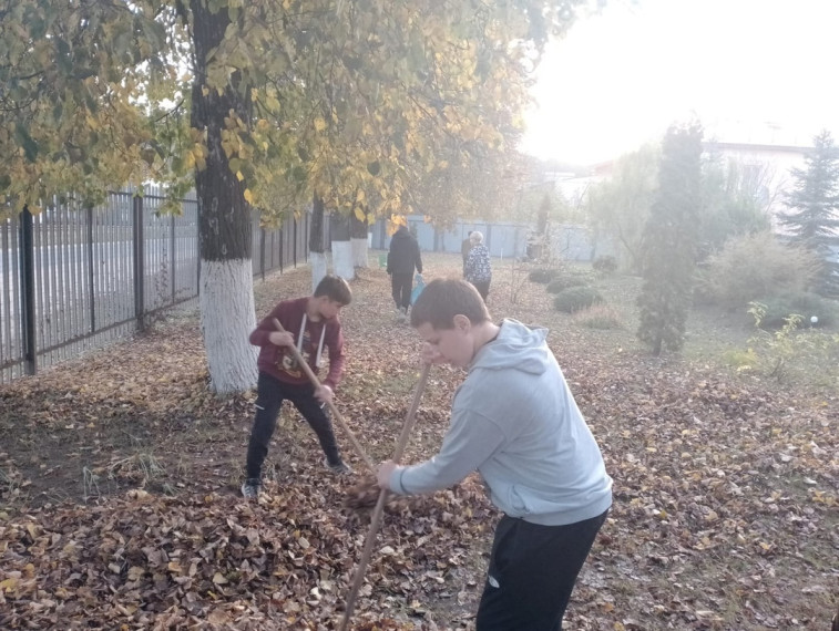 Осенний "День сада".
